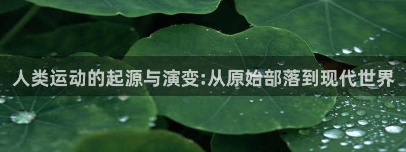 球速体育：人类运动的起源与演变:从原始部落到现代世界