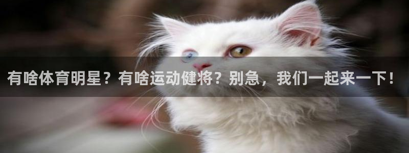 球速体育：有啥体育明星？有啥运动健将？别急，我们一起来一下！