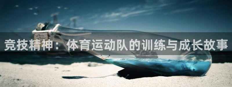 球速体育：竞技精神：体育运动队的训练与成长故事