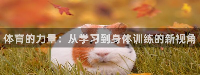 球速体育：体育的力量：从学习到身体训练的新视角
