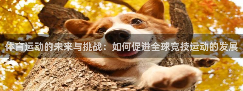 球速体育：体育运动的未来与挑战：如何促进全球竞技运动的发展