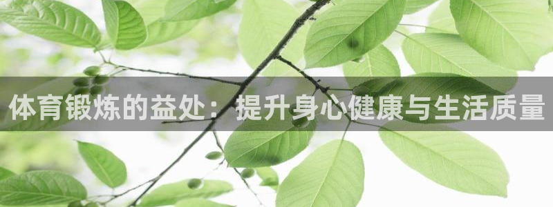 球速体育：体育锻炼的益处：提升身心健康与生活质量