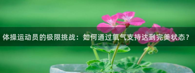 球速体育：体操运动员的极限挑战：如何通过氧气支持达到完美状态？