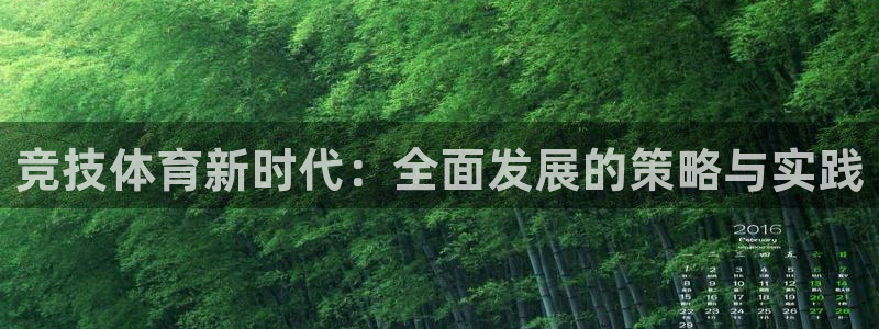 球速体育：竞技体育新时代：全面发展的策略与实践