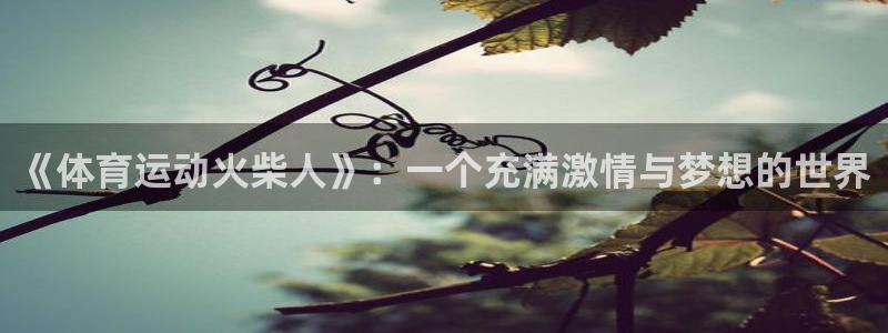 球速体育：《体育运动火柴人》：一个充满激情与梦想的世界