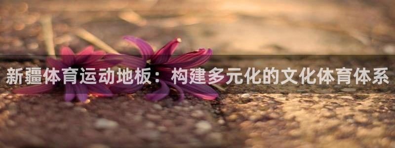 球速体育：新疆体育运动地板：构建多元化的文化体育体系